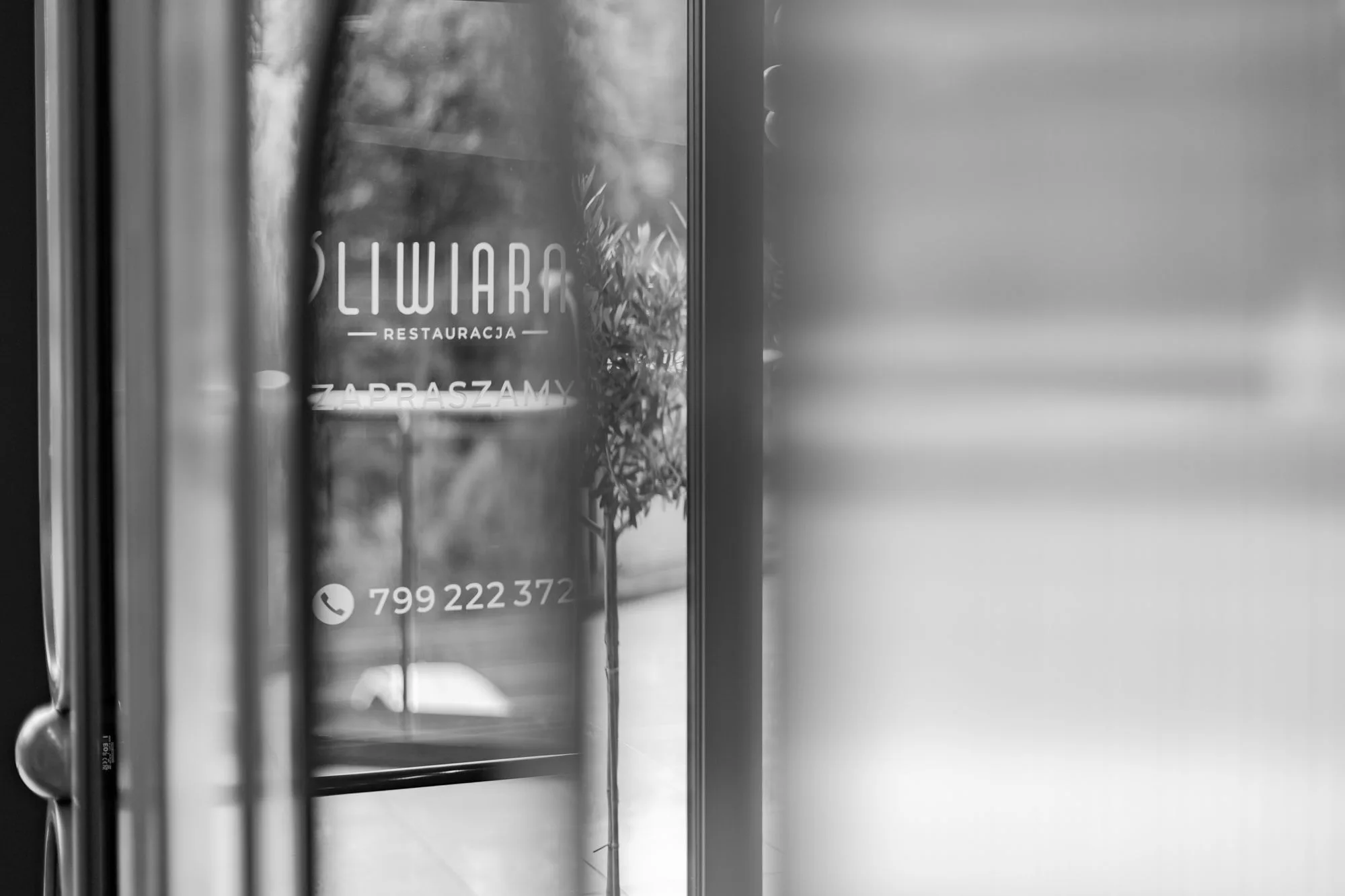 Wnętrze i chwile w Oliwiance